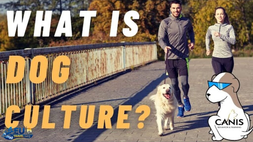 A Dog's Perspective on Culture