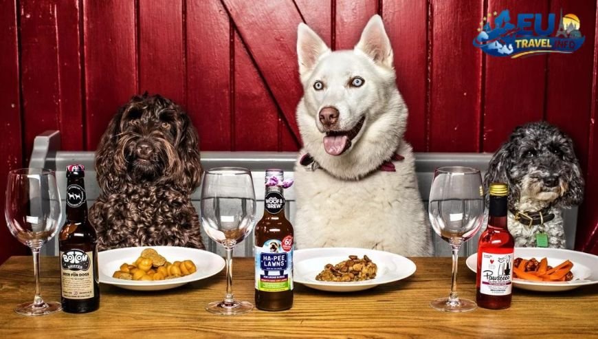 A Feast for Two Dog-Friendly Dining