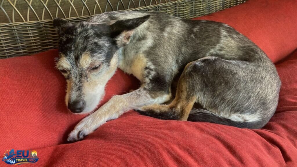 A Few Rules to Remember