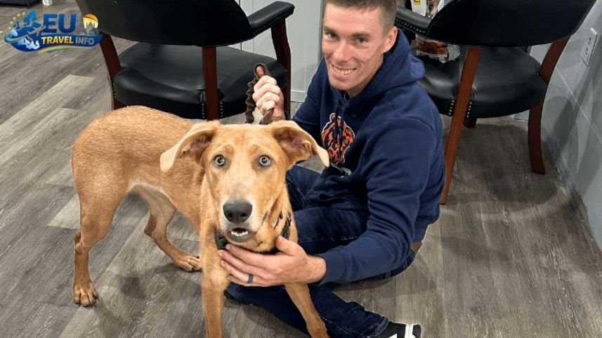 Adventures in the Rhodope Mountains dog