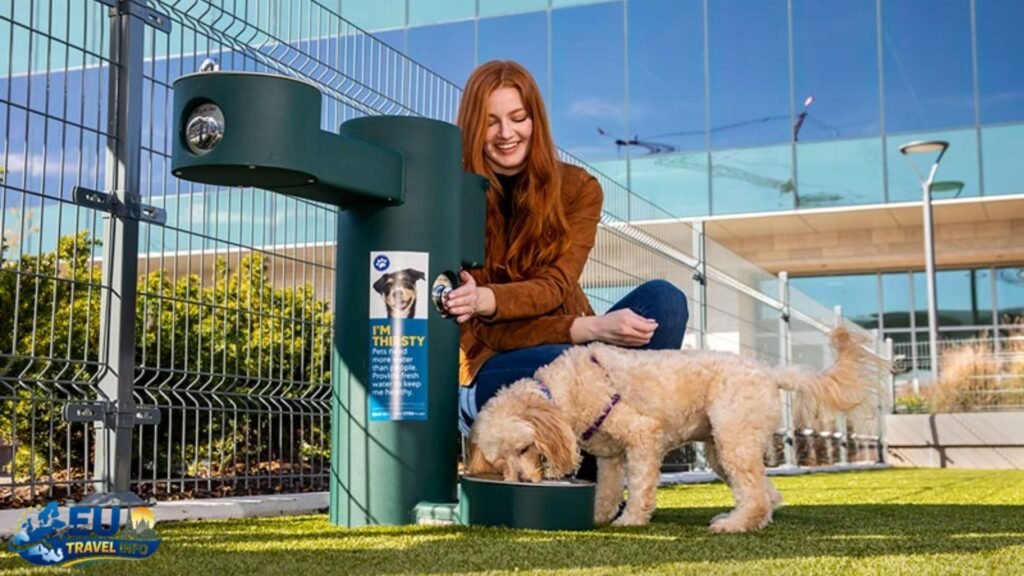 Airport Survival: Pet Relief Areas