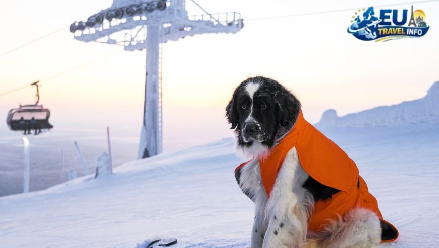 Après Ski Fun with Pets