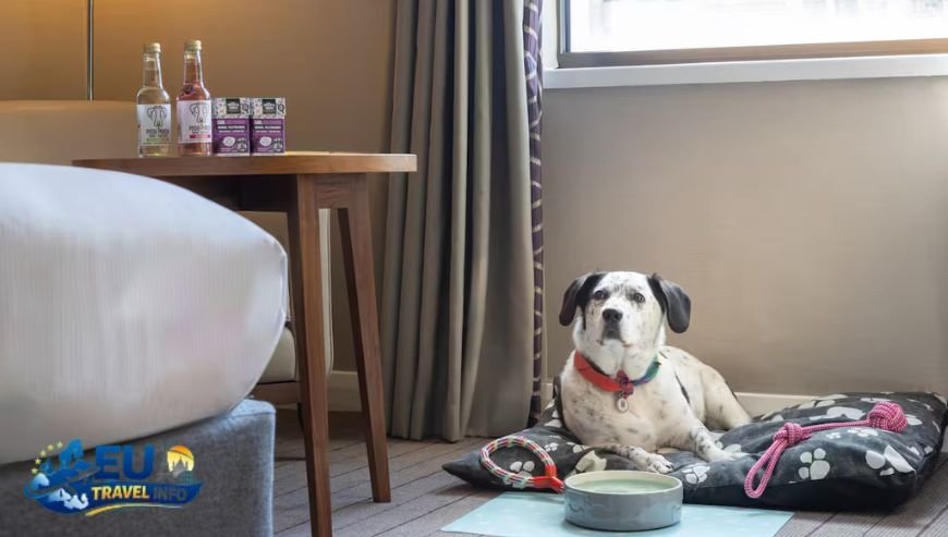 Are Hilton Hotels Near Villa Borghese Pet Friendly