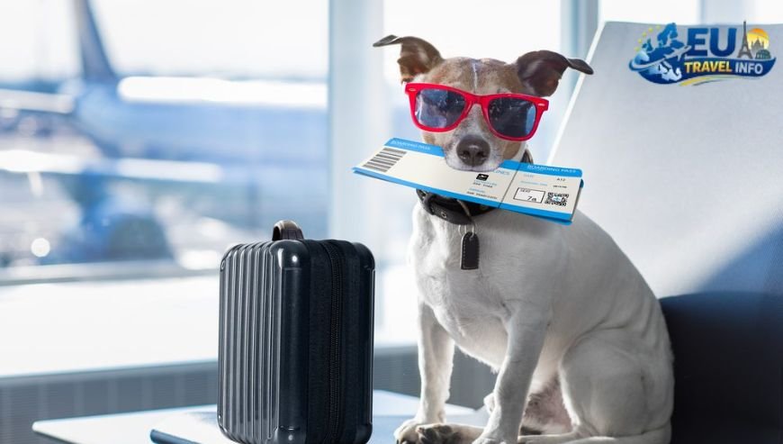 Arriving at the Airport dog