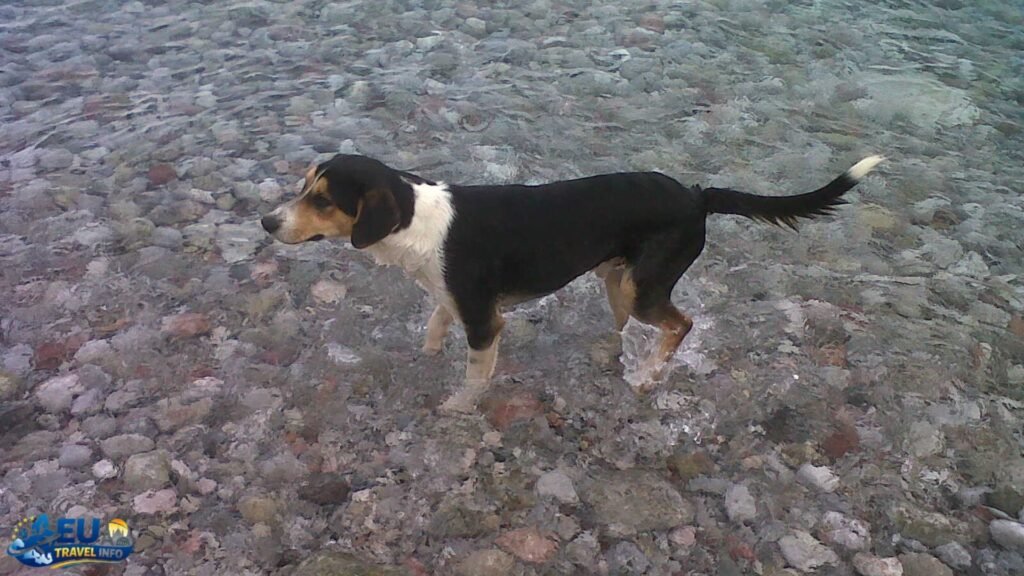 Arriving on the Island