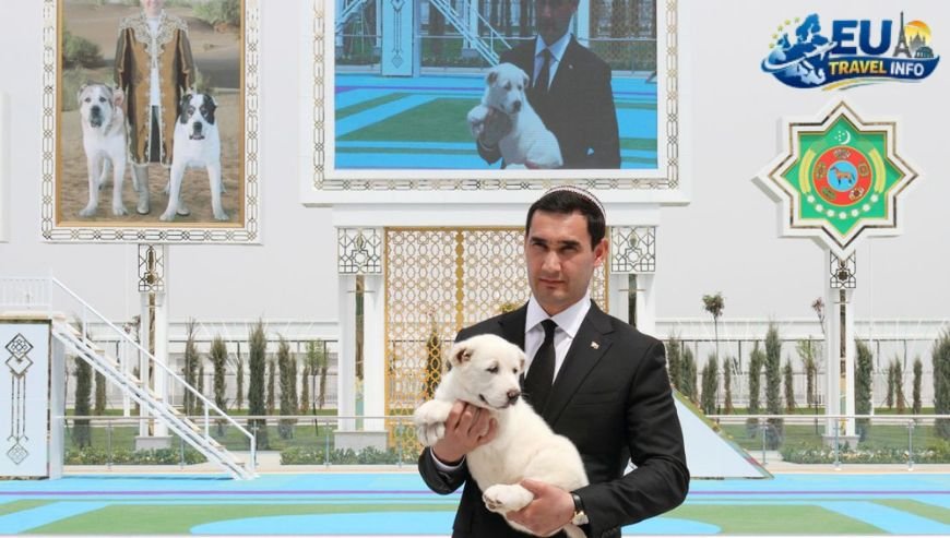 Ashtarak and Bazmakhpyur The Secret Gardens dog