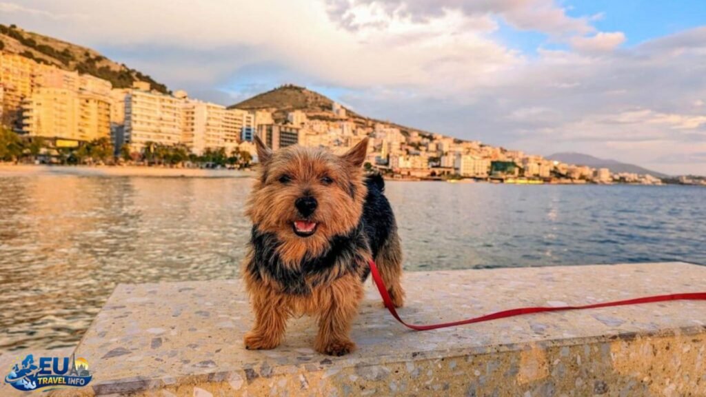 Best Dog Friendly Albania Destinations