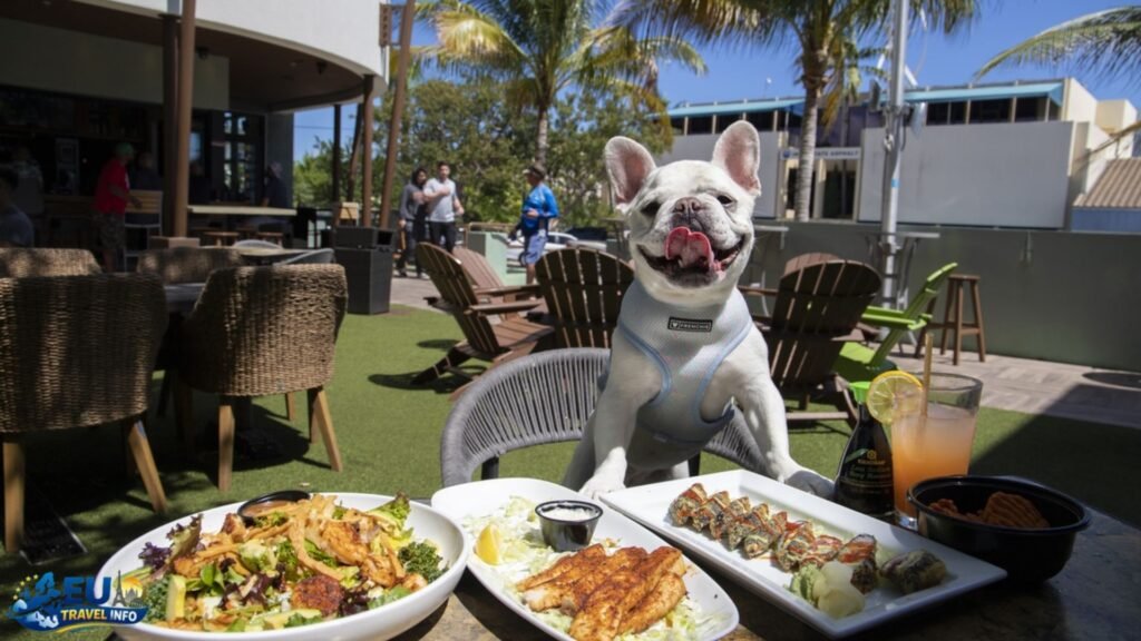 Best Dog Friendly Greek Restaurants