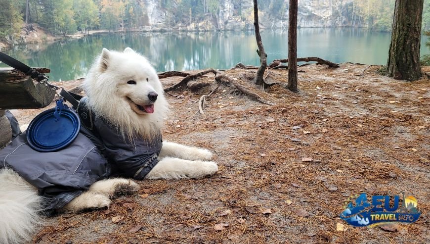 Best Dog Friendly Hiking Trails in the Czech Republic