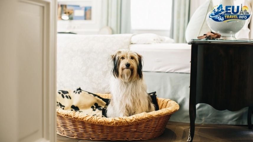 Best Dog Friendly Restaurants in Vienna, Austria