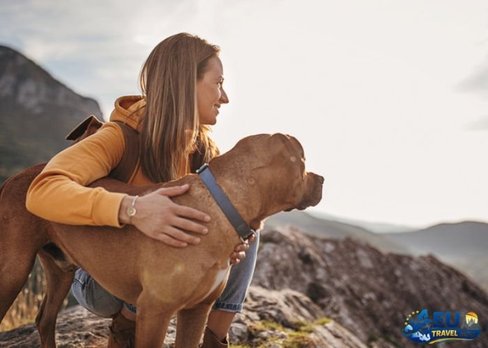 Best Dog-friendly European Destinations to Visit