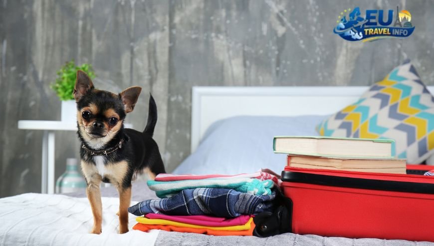 Best Pet Friendly Hotels in the Czech Republic