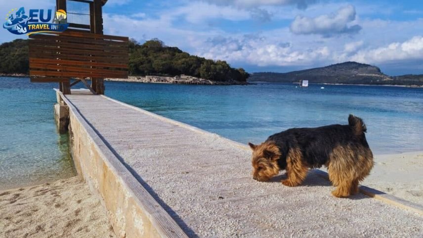 Best Pet Friendly Places to Stay in Albania