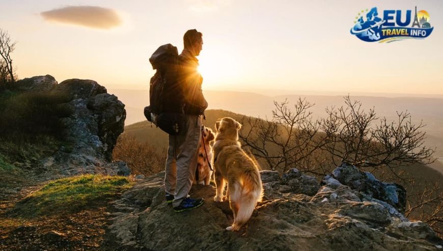 Biking and Hiking Through the Island dog