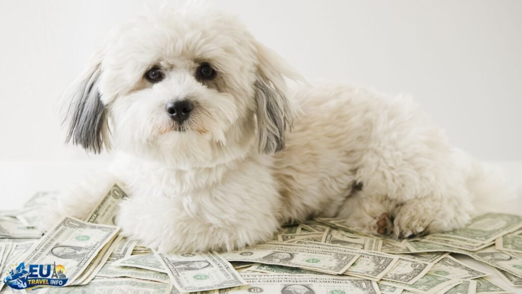 Budgeting and Saving Money