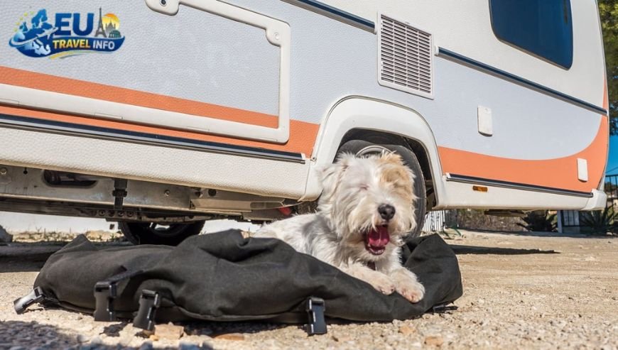 Campingpark Kühlungsborn, Germany dog