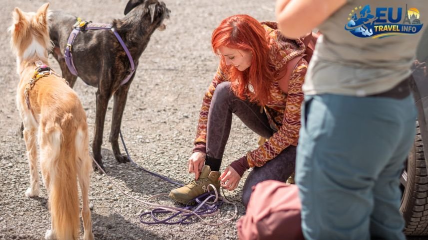 Can I Take My Dog to Switzerland The Big Questions