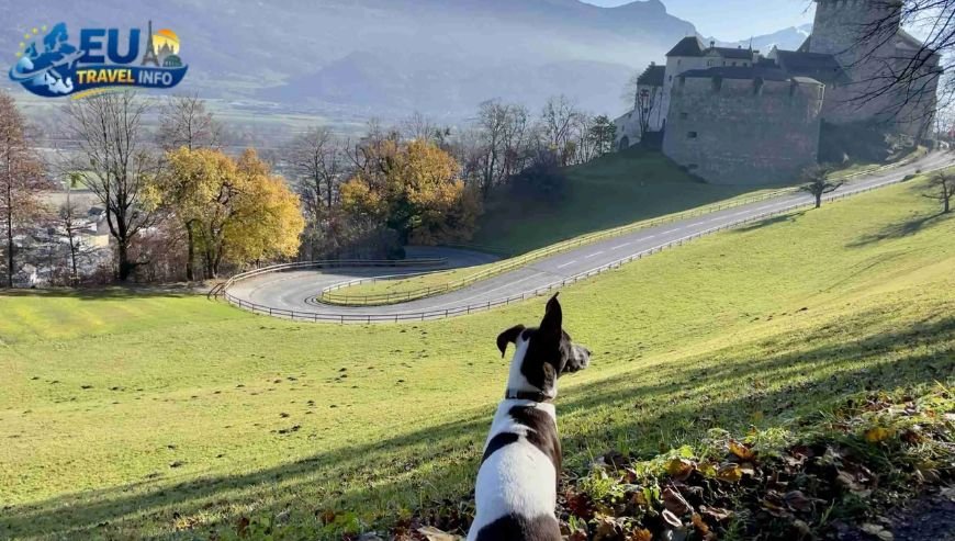 Can I Visit Liechtenstein with My Dog