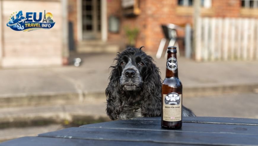 Casual Bites and Traditional Pubs dog