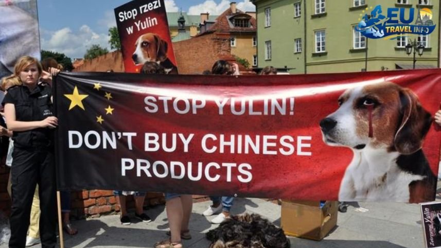 Cultural Stops Not Just for Humans dog