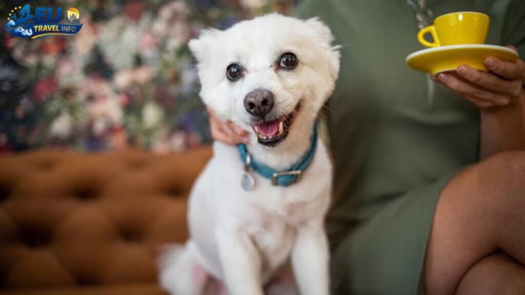 Daily Life and Local Etiquette