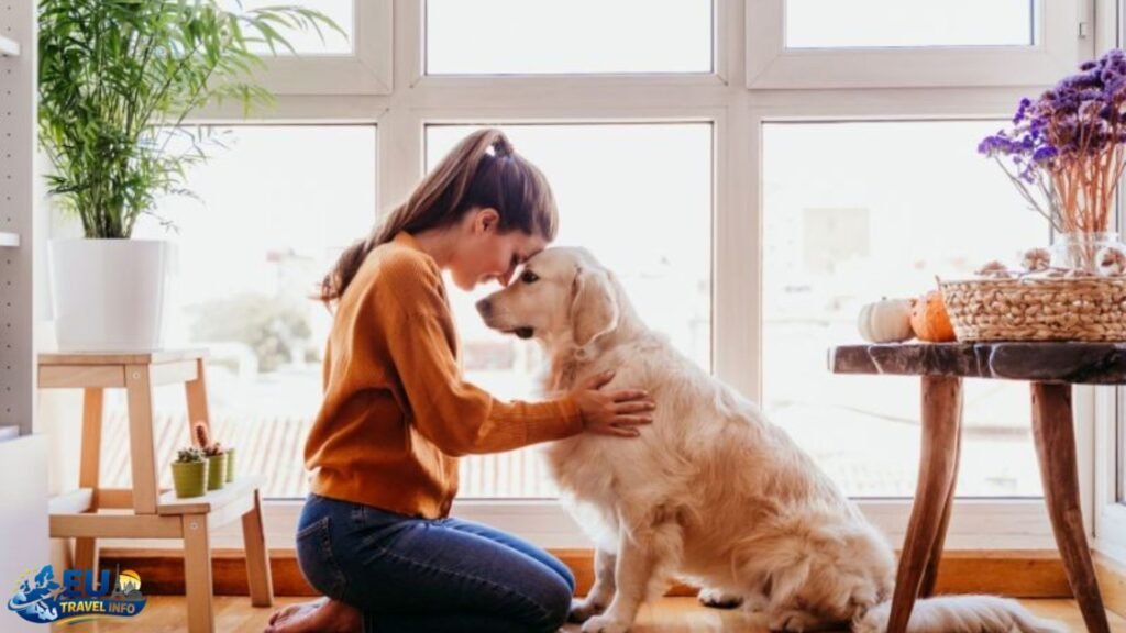 Daily Life with Your Dog