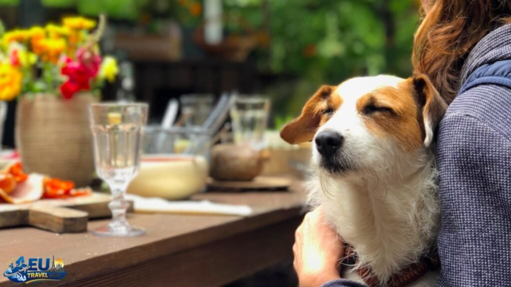 Dining Out: Dog Friendly Restaurants Malta