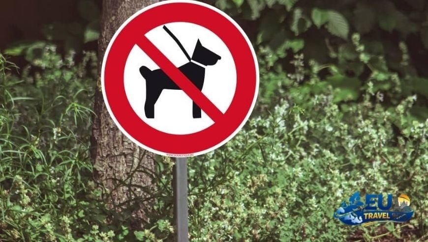 Dining Out The Chiens Interdits Sign