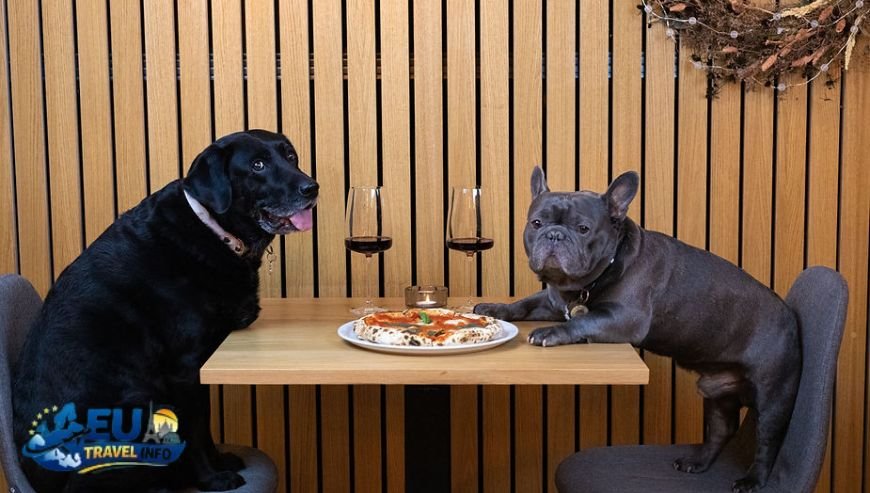 Dining Out Where Dogs are Guests