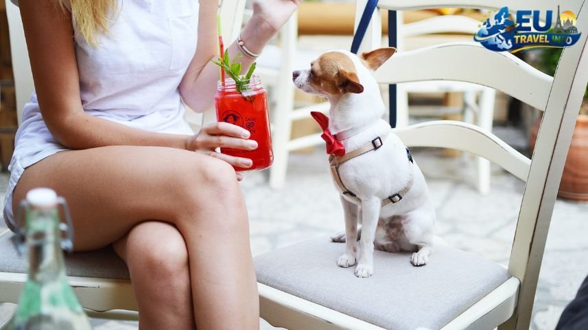 Dining Out With Your Dog