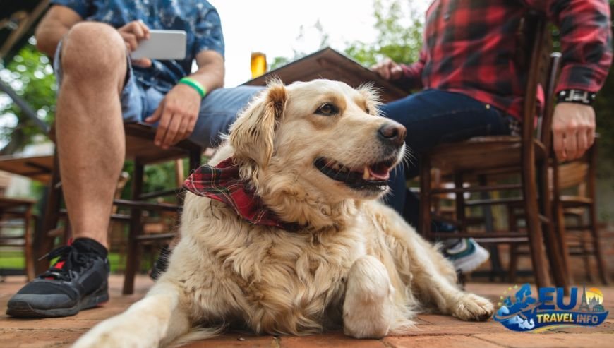 Dining and Shopping with Your Pet