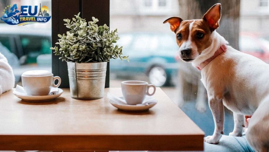 Dining out with your pup