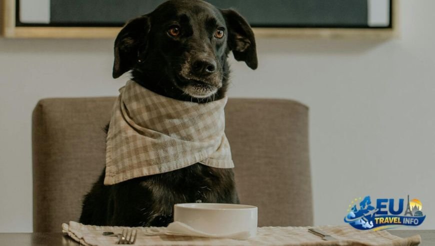 Dining with Your Dog (2)