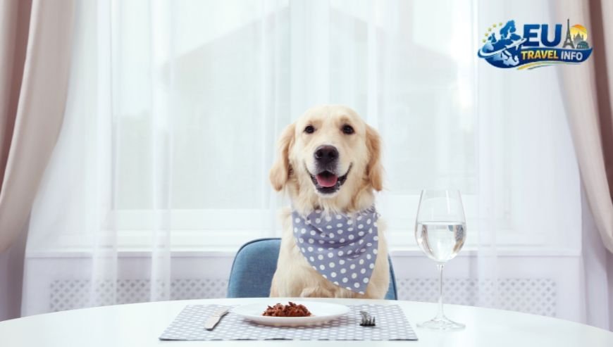 Dining with Your Dog in Fontvieille