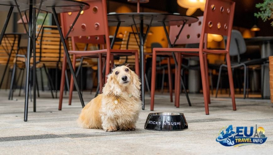 Dining with Your Dog