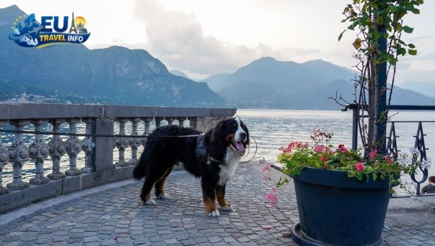 Dog Beach Lake Como Dervio and Beyond