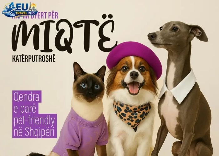 Dog Friendly Albania