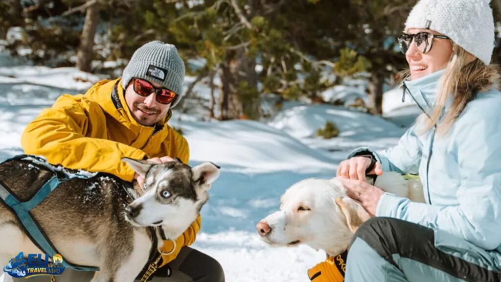 Dog Friendly Andorra