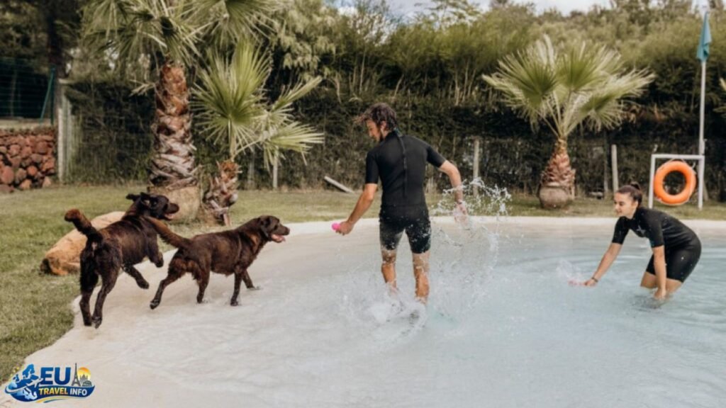 Dog-Friendly Campgrounds in Portugal