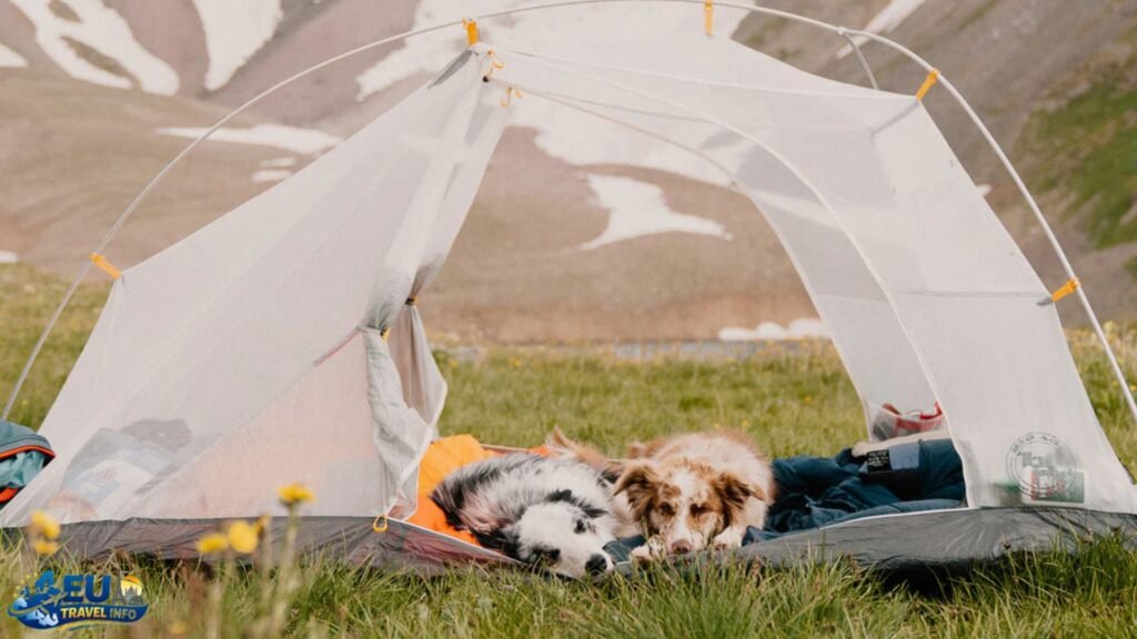 Dog-Friendly Campgrounds in Romania