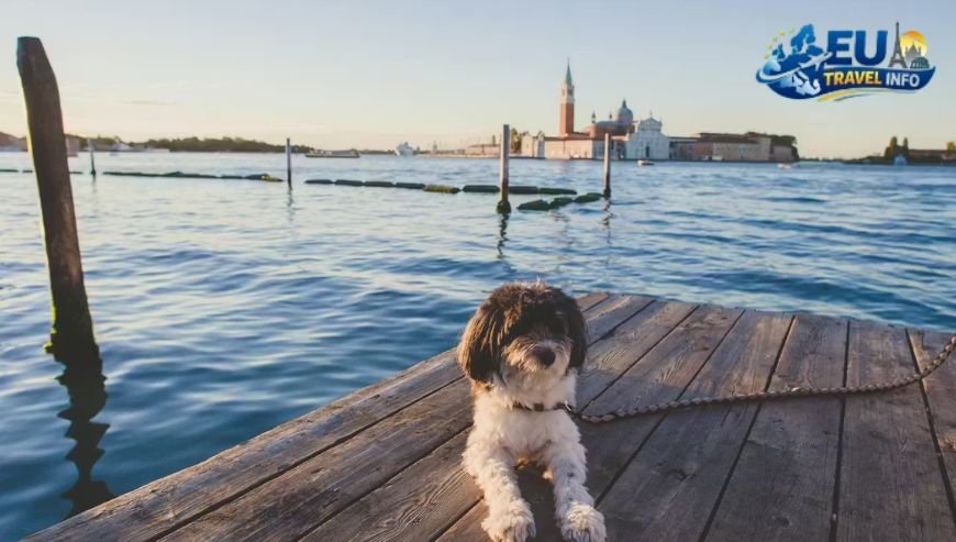 Dog Friendly Camping North Italy The Lake District