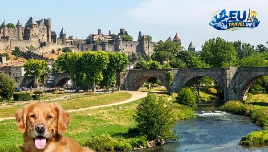 Dog Friendly Chateaus and Unique Accommodations in France