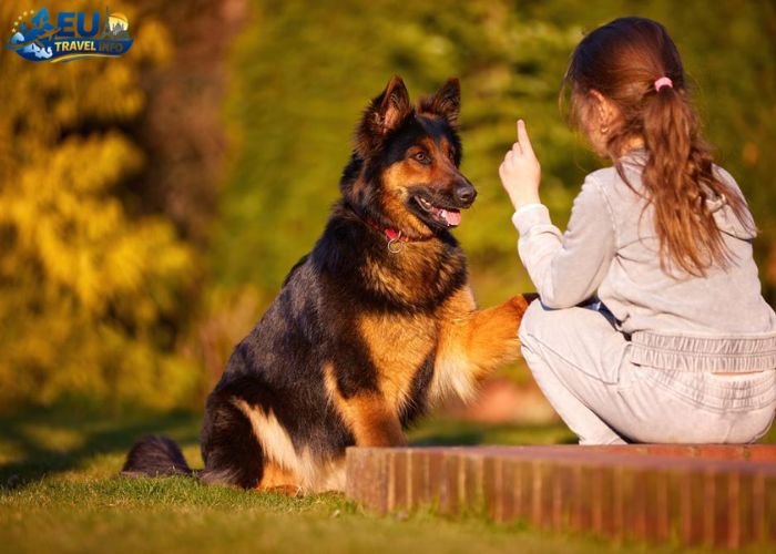 Dog Friendly Cities in Cyprus