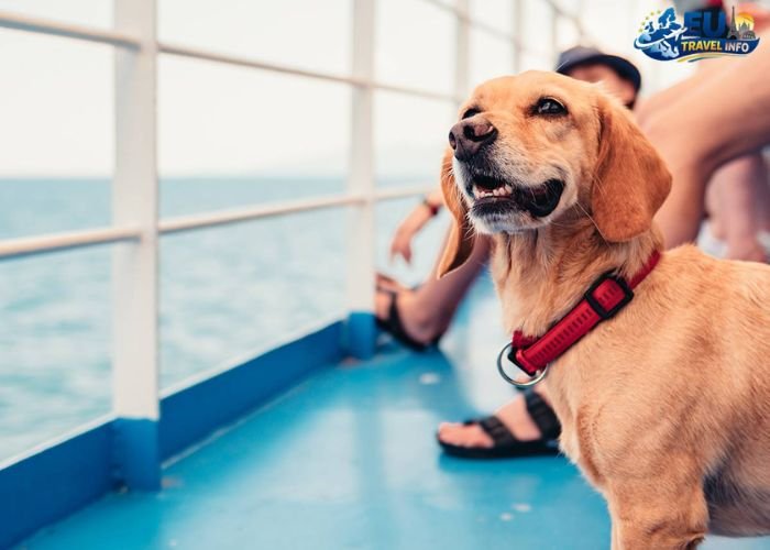 Dog Friendly Cruises Europe