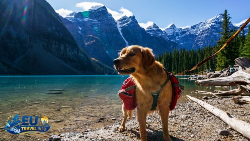 Dog Friendly Hiking and National Parks in Bosnia