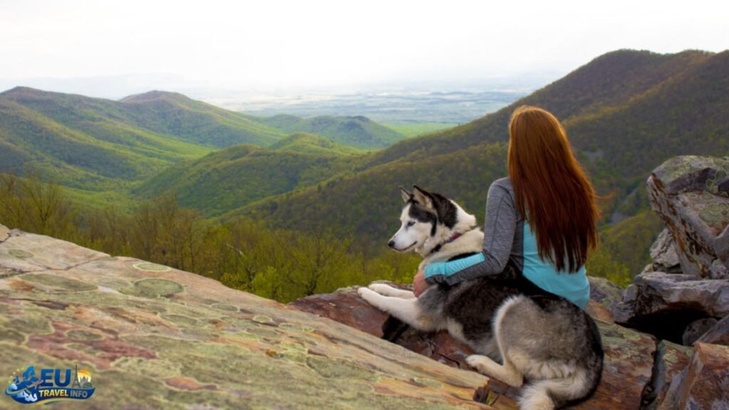 Dog-Friendly Hiking and Parks