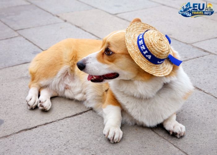 Dog Friendly Holidays Europe