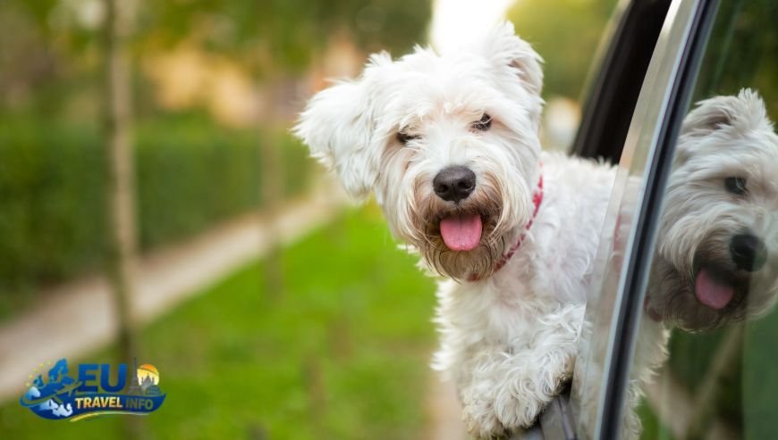 Dog Friendly Holidays in Bratislava, Slovakia