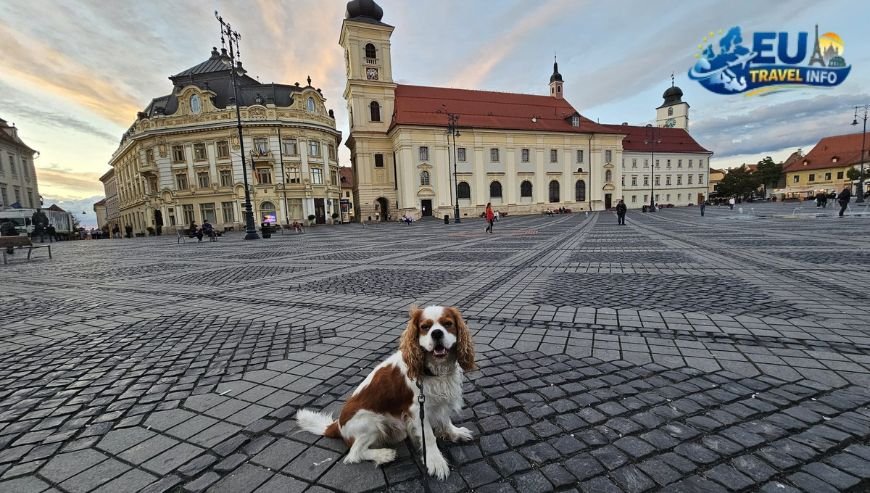 Dog Friendly Holidays in Cluj-Napoca, Romania