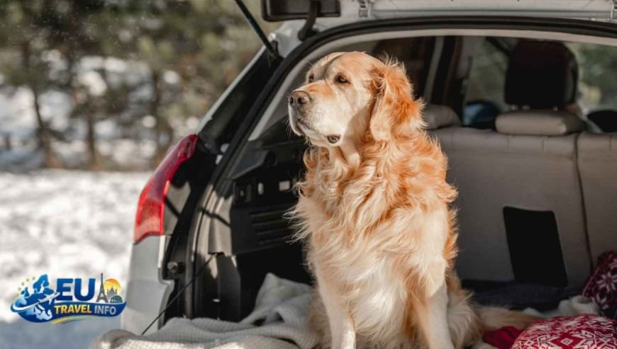 Dog Friendly Holidays in Esch-sur-Alzette, Luxembourg